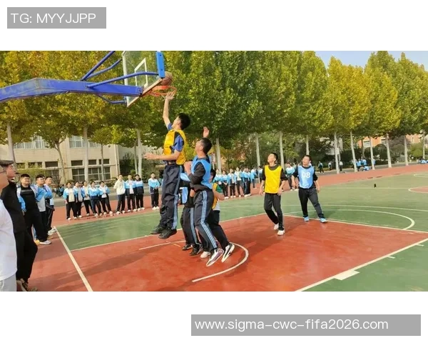 汗篮球：热血青春与团队精神的完美结合，探索运动背后的故事与激情